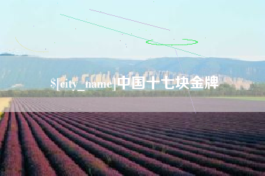 霍邱中国十七块金牌
