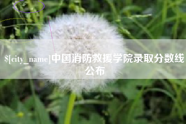霍邱中国消防救援学院录取分数线公布