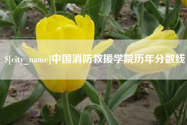 霍邱中国消防救援学院历年分数线