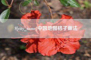 霍邱中国地图格子画法