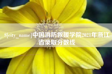 霍邱中国消防救援学院2021年浙江省录取分数线