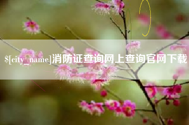 霍邱消防证查询网上查询官网下载