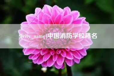霍邱中国消防学校排名