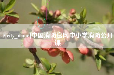 霍邱中国消防官网中小学消防公开课