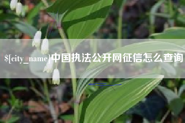 霍邱中国执法公开网征信怎么查询