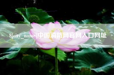霍邱中国消防网官网入口网址