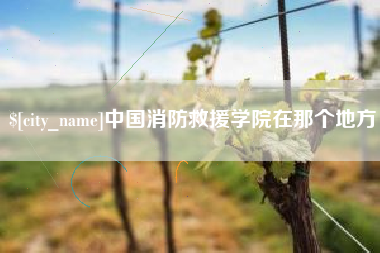 霍邱中国消防救援学院在那个地方