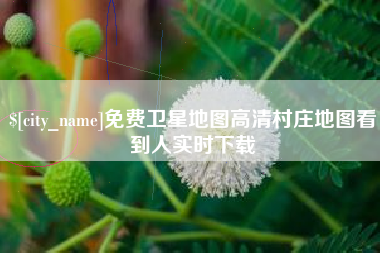 霍邱免费卫星地图高清村庄地图看到人实时下载