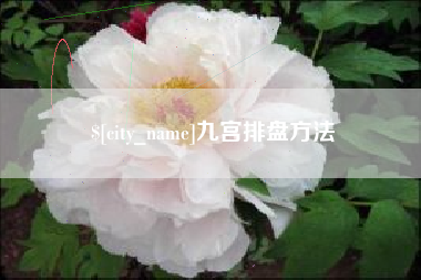 霍邱九宫排盘方法
