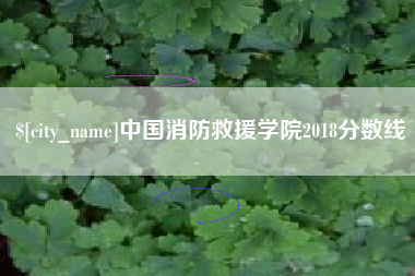 霍邱中国消防救援学院2018分数线