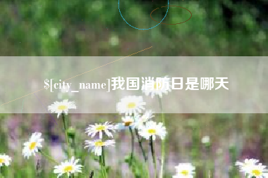 霍邱我国消防日是哪天
