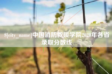 霍邱中国消防救援学院2020年各省录取分数线