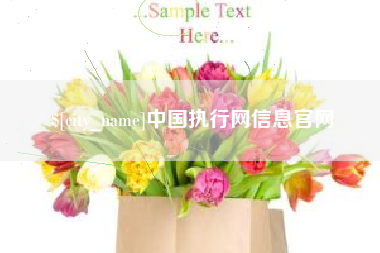 霍邱中国执行网信息官网