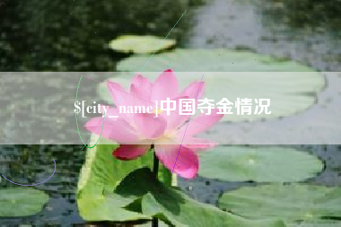 霍邱中国夺金情况