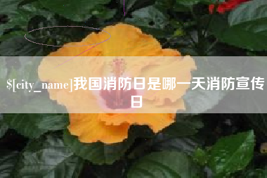 霍邱我国消防日是哪一天消防宣传日