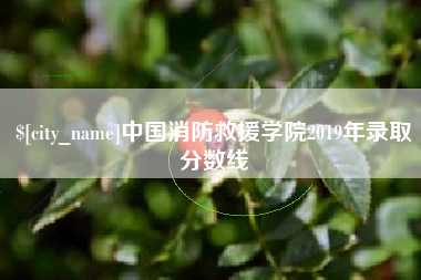 霍邱中国消防救援学院2019年录取分数线