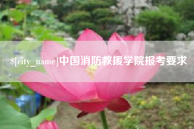 霍邱中国消防救援学院报考要求