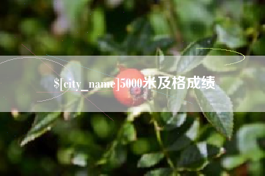 霍邱5000米及格成绩