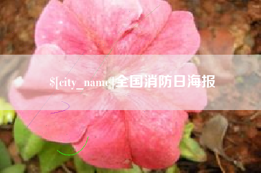 霍邱全国消防日海报
