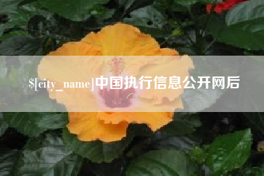 霍邱中国执行信息公开网后
