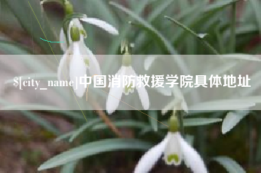 霍邱中国消防救援学院具体地址