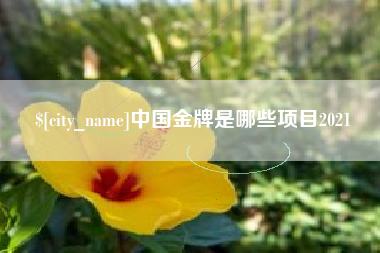 霍邱中国金牌是哪些项目2021