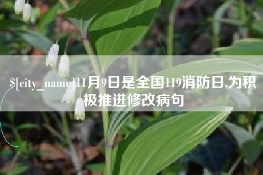 霍邱11月9日是全国119消防日,为积极推进修改病句
