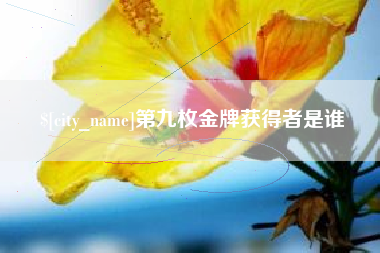 霍邱第九枚金牌获得者是谁