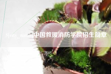 霍邱中国救援消防学院招生简章