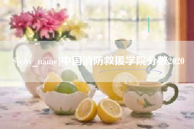 霍邱中国消防救援学院分数2020