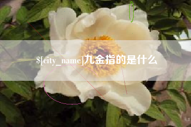 霍邱九金指的是什么