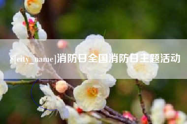 霍邱消防日全国消防日主题活动