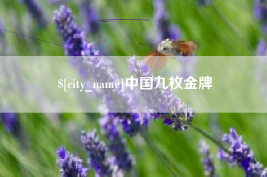 霍邱中国九枚金牌