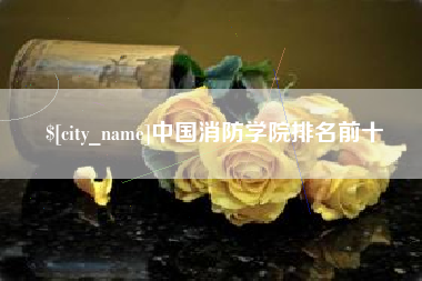 霍邱中国消防学院排名前十