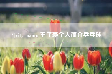 霍邱王子豪个人简介乒乓球