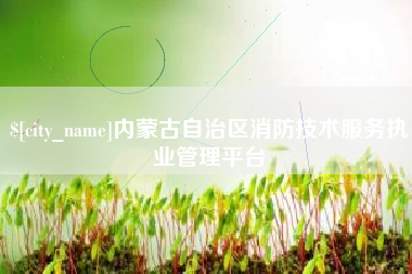 霍邱内蒙古自治区消防技术服务执业管理平台