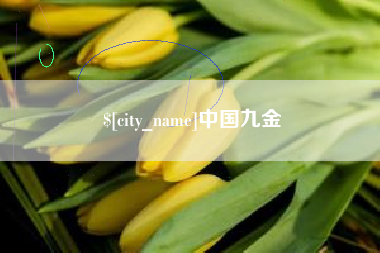 霍邱中国九金