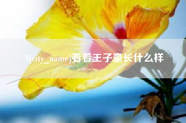 霍邱看看王子豪长什么样