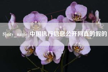 霍邱中国执行信息公开网真的假的