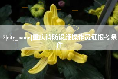 霍邱重庆消防设施操作员证报考条件