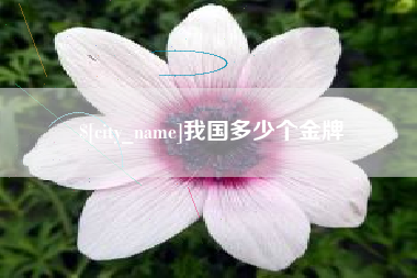 霍邱我国多少个金牌