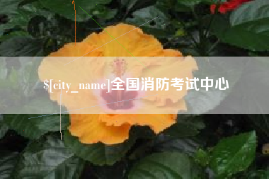 霍邱全国消防考试中心