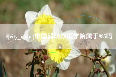 霍邱中国消防救援学院属于985吗
