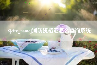 霍邱消防资格证怎么查询系统