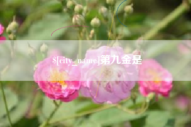 霍邱第九金是