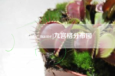 霍邱九宫格分布图
