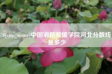 霍邱中国消防救援学院河北分数线是多少