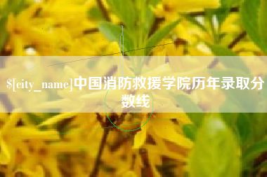 霍邱中国消防救援学院历年录取分数线