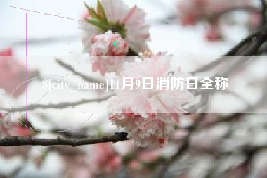 霍邱11月9日消防日全称