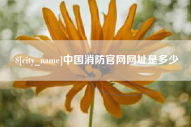 霍邱中国消防官网网址是多少